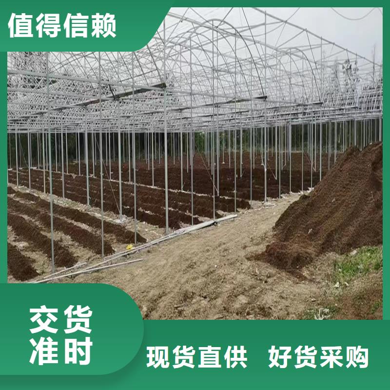 桑植县养殖大棚椭圆管工厂直销