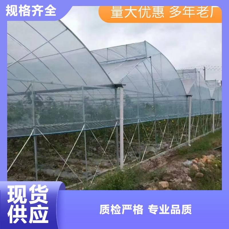 分宜县杨梅大棚PO膜出厂价格2025乡村振兴计划