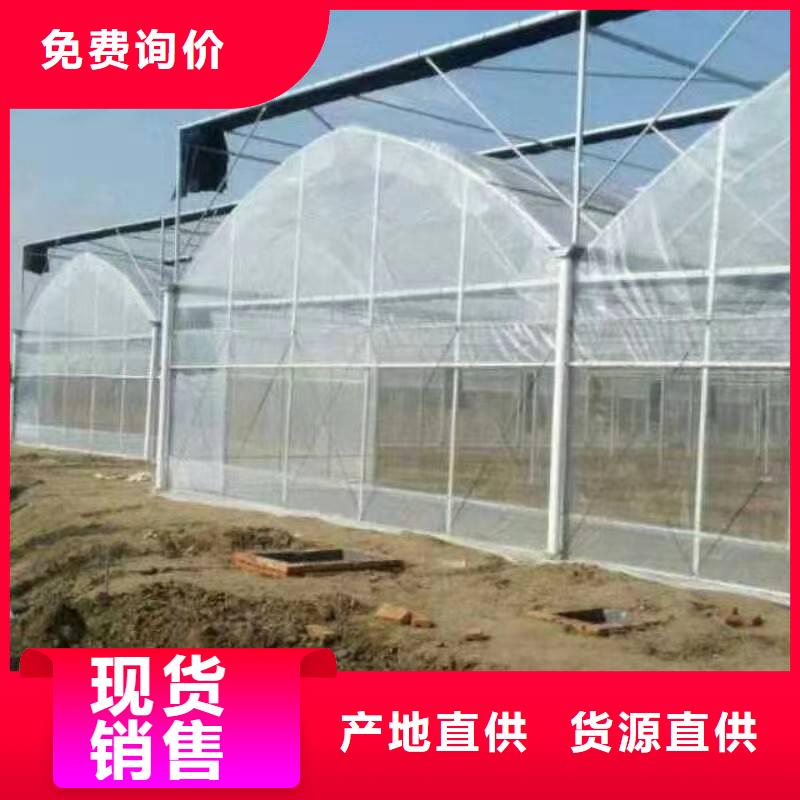 海盐县羊肚菌木耳大棚10年经验2025+全国配送