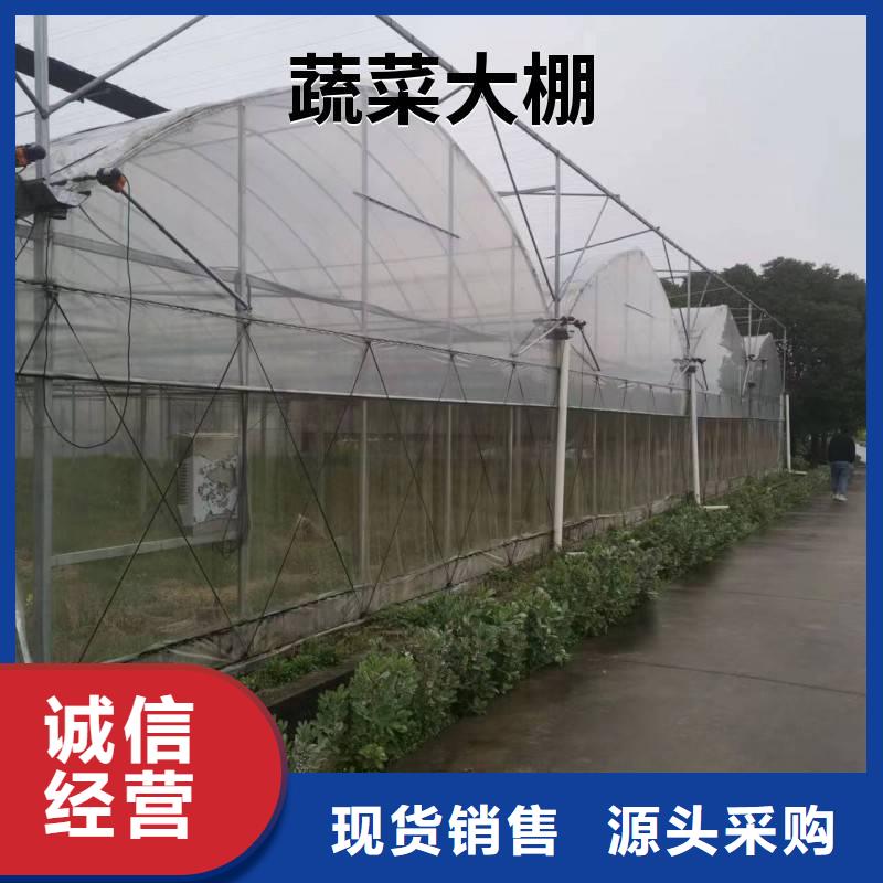 草莓大棚管按需定制