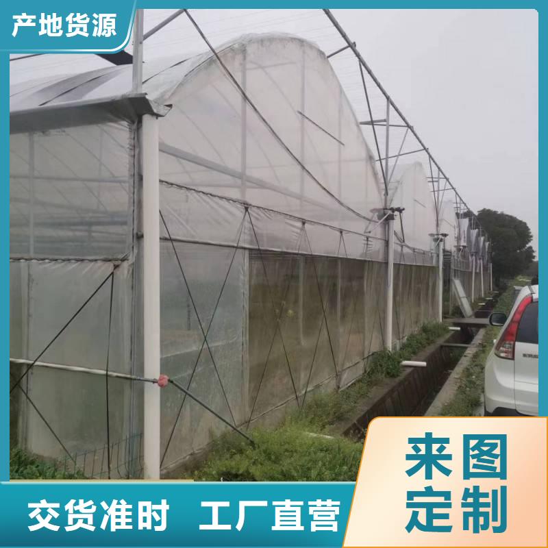 育苗连栋大棚10年经验免费指导