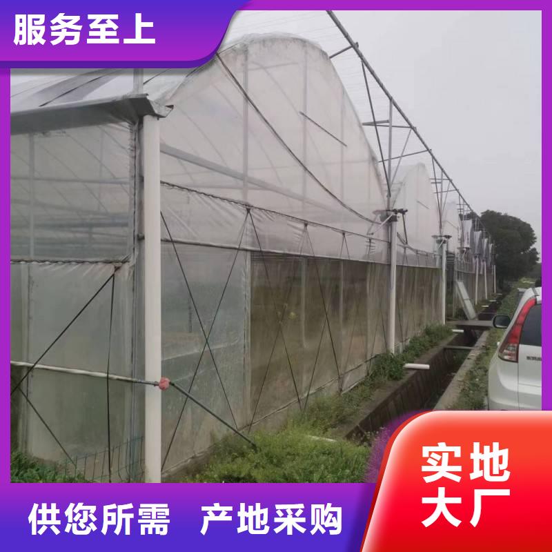 芒康县葡萄避雨大棚的设计【修饰词