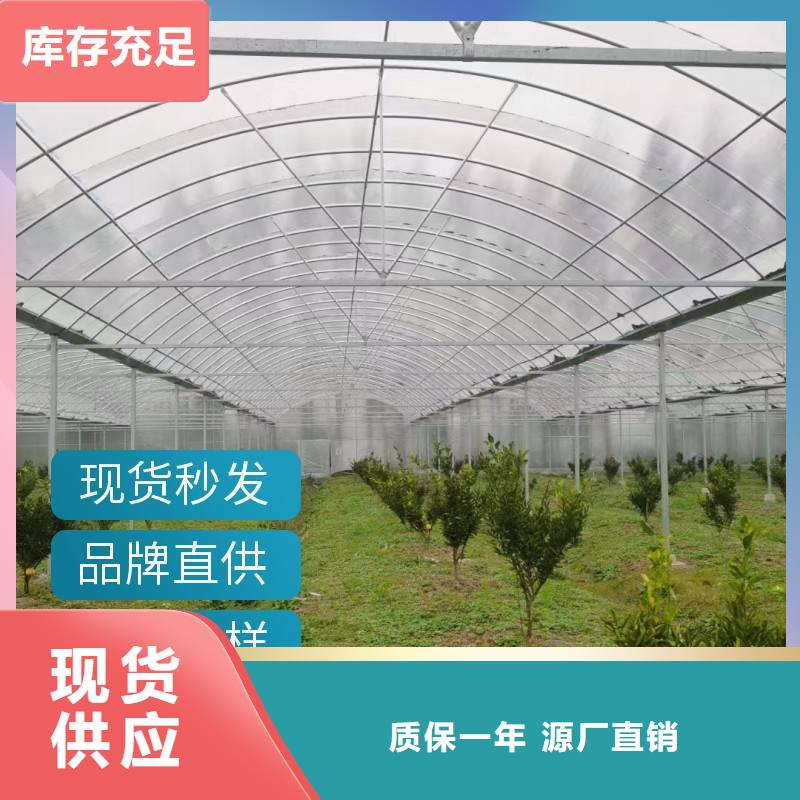 蔬菜温室大棚钢管厂家批发欢迎电询2025-全国配送