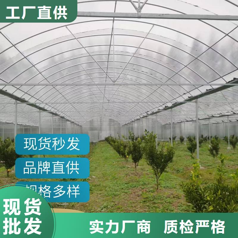 城厢区薄膜温室连栋大棚厂家价格优惠2025-8-28