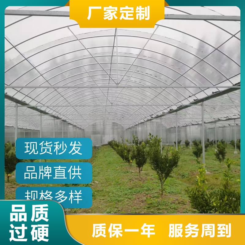 草莓大棚的跨度几米品牌厂家