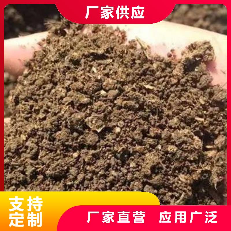 干鸡粪适合蔬菜施肥