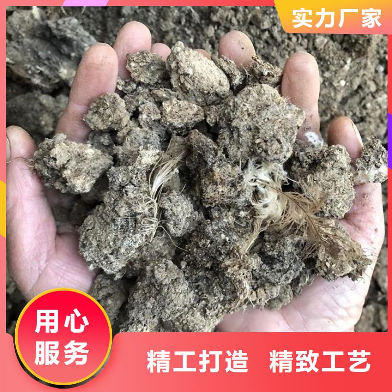 发酵羊粪提升土壤肥力