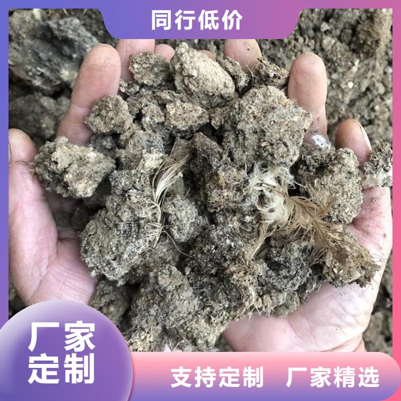 干鸡粪性价比高