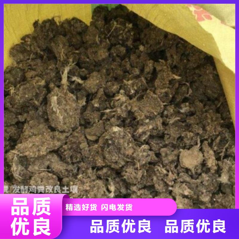 河南商丘永城腐熟鸡粪咋给农田施肥