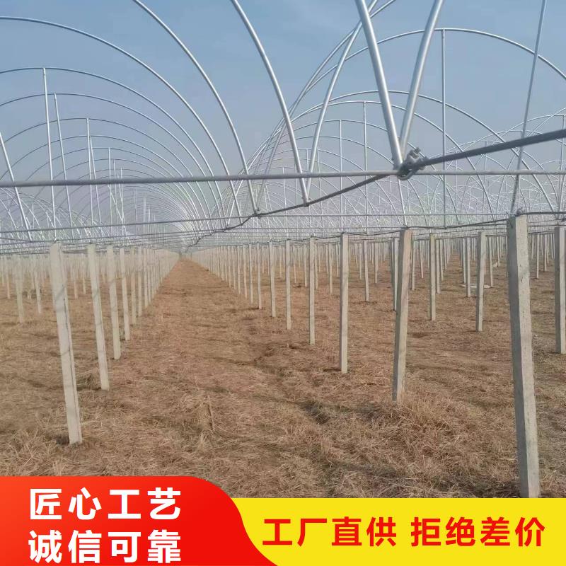 温室大棚-太阳能光伏支架厂家专注细节使用放心