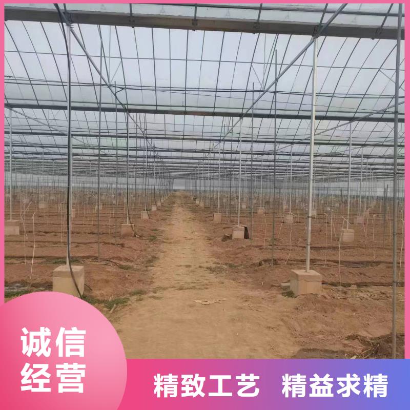 温室大棚_热镀锌椭圆大棚管工厂直营