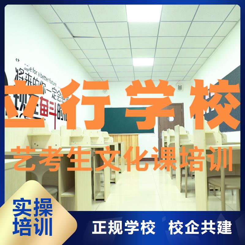 艺考生文化课【艺考培训机构】学真技术