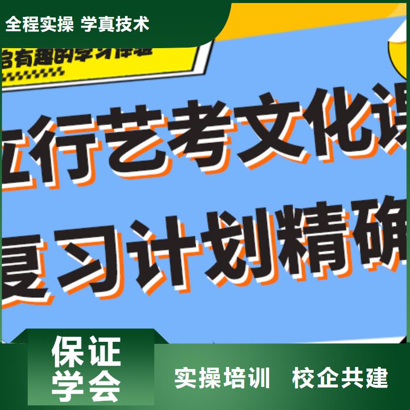 【艺考生文化课高考补习班课程多样】