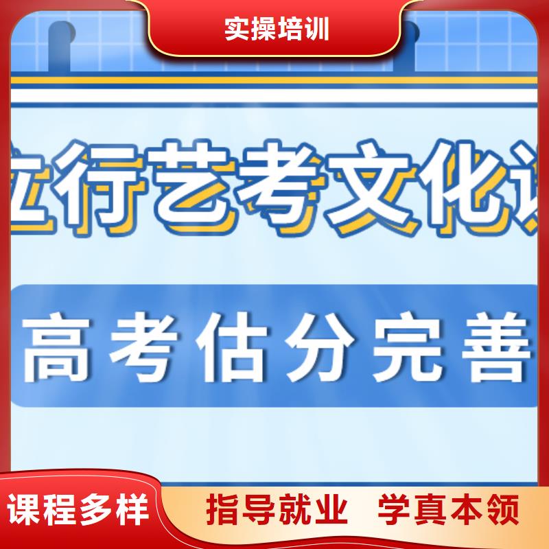 艺考生文化课艺考文化课冲刺老师专业