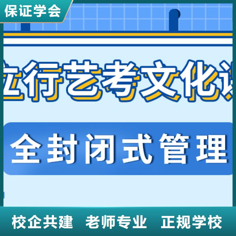 【艺考生文化课艺考生一对一补习保证学会】