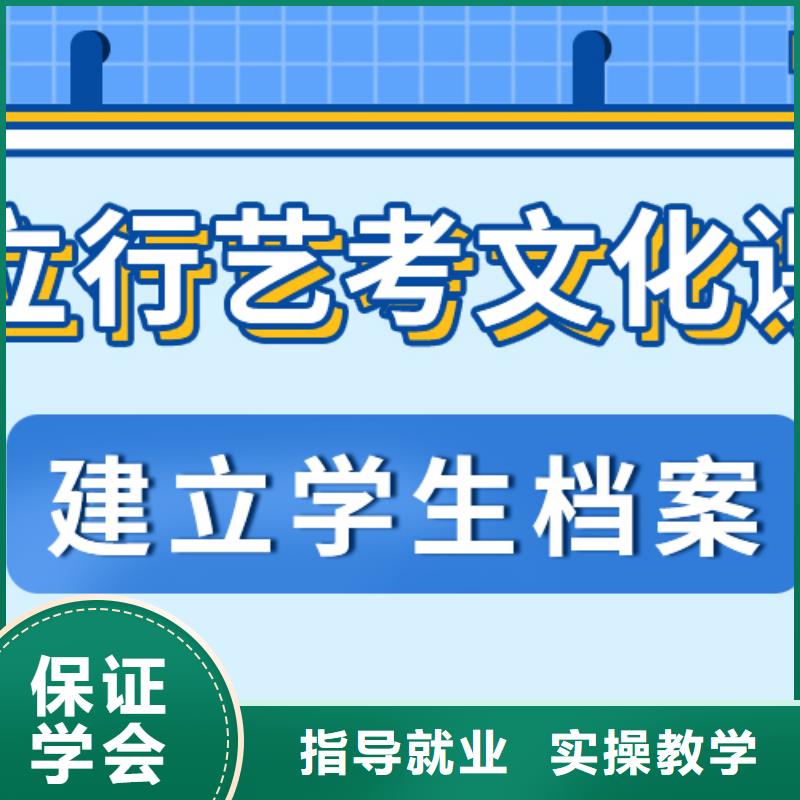 艺术生文化课【艺考培训】理论+实操