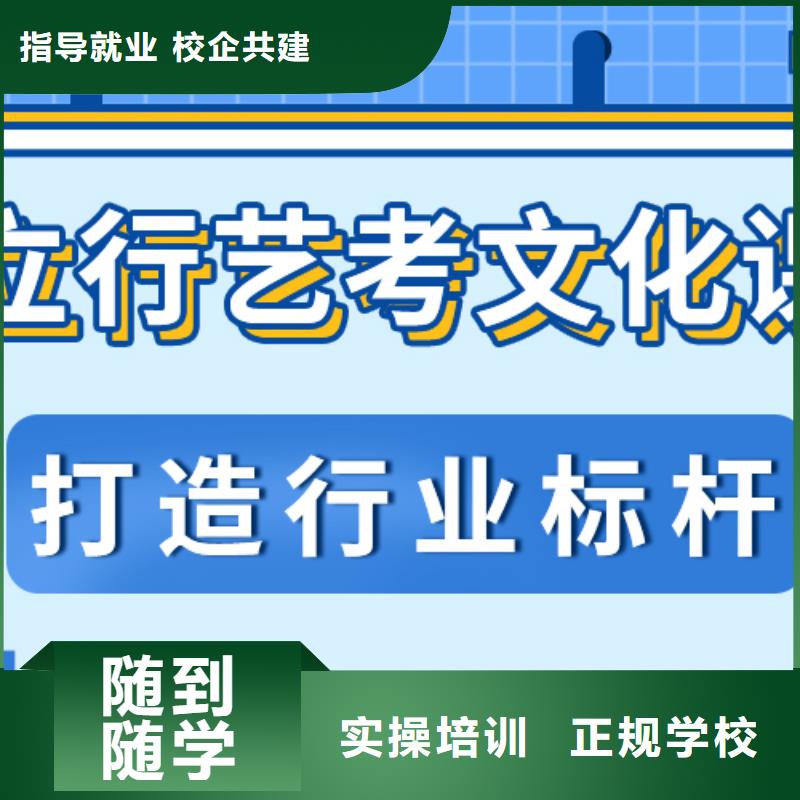 艺术生文化课【高中一对一辅导】理论+实操