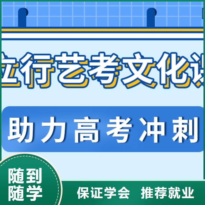 艺术生文化课【艺考培训】理论+实操