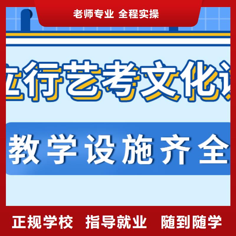 艺术生文化课【高中一对一辅导】理论+实操