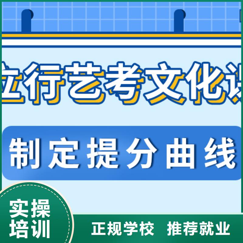 艺术生文化课-【高考冲刺班】学真本领