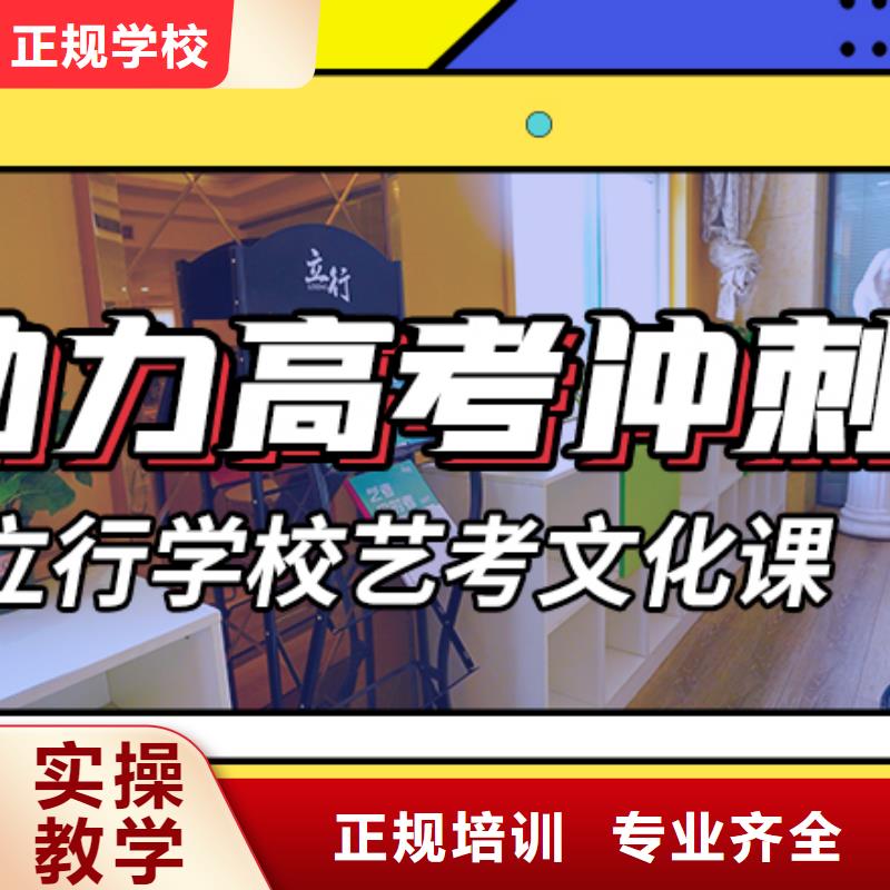 艺术生文化课艺考文化课百日冲刺班理论+实操