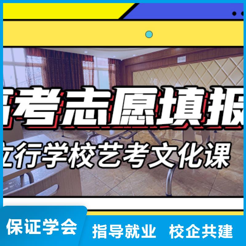 艺术生文化课艺考文化课百日冲刺班理论+实操