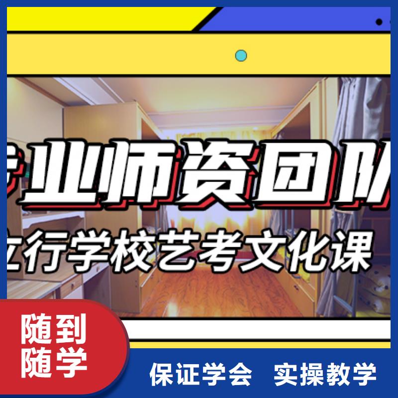 艺术生文化课艺考文化课百日冲刺班理论+实操