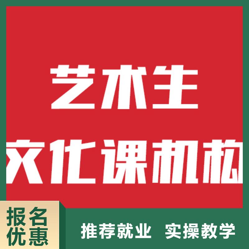 艺考生文化课高中寒暑假补习学真技术