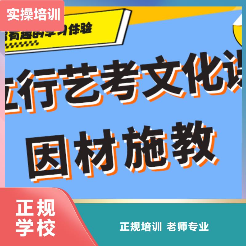 艺考生文化课艺考一对一教学课程多样