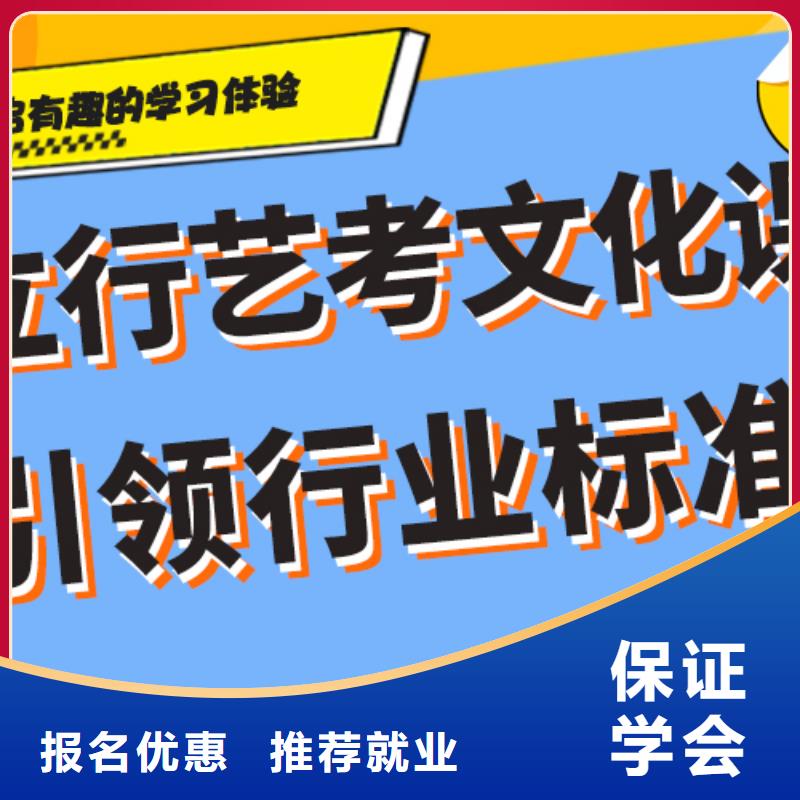 艺考生文化课,美术生文化课培训老师专业