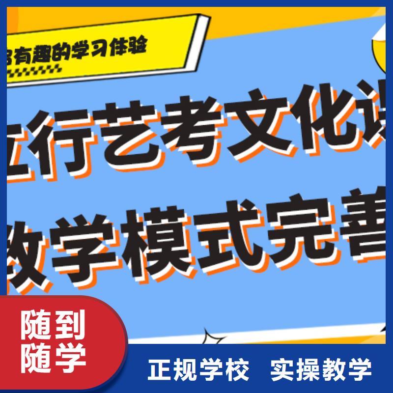 【艺考生文化课】【艺考培训机构】理论+实操