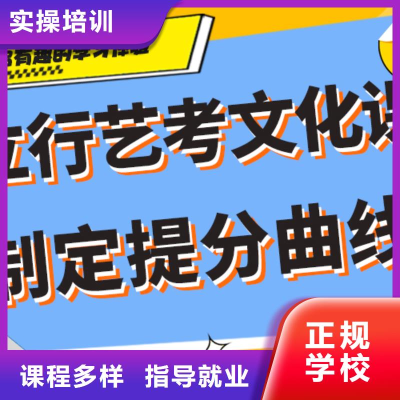 艺考生文化课艺考一对一教学课程多样