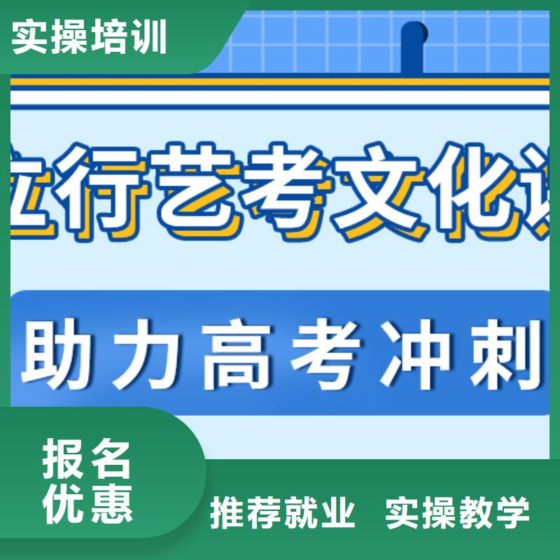 艺考生文化课,美术生文化课培训老师专业