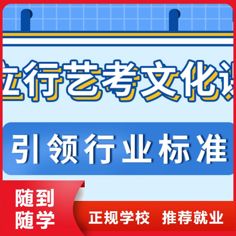 艺考生文化课,美术生文化课培训老师专业