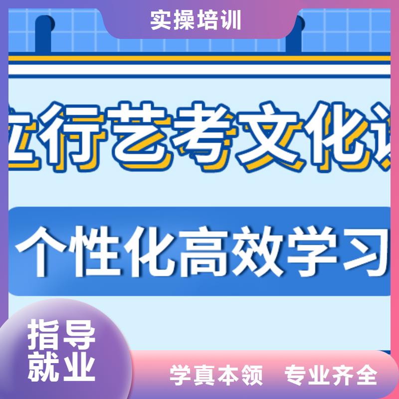 艺考生文化课艺考文化课百日冲刺班理论+实操