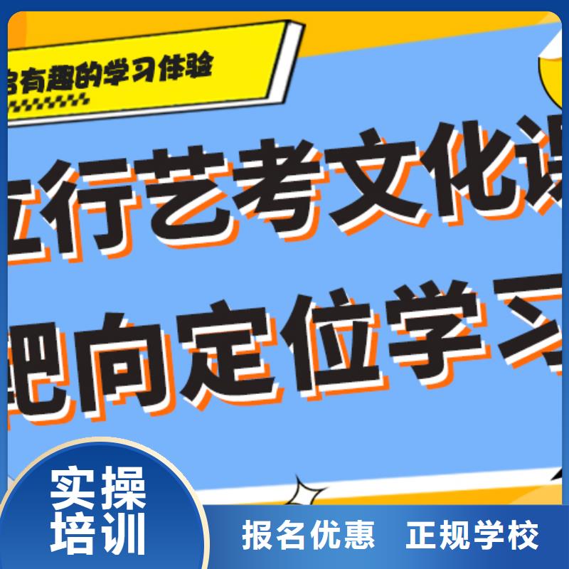 艺考文化课艺考文化课冲刺学真技术