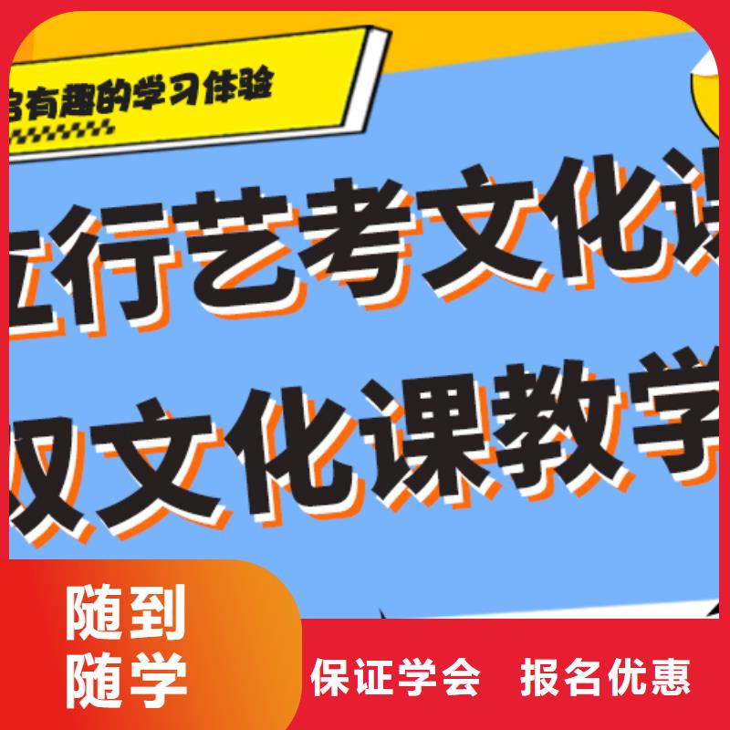 艺考文化课艺考培训机构理论+实操