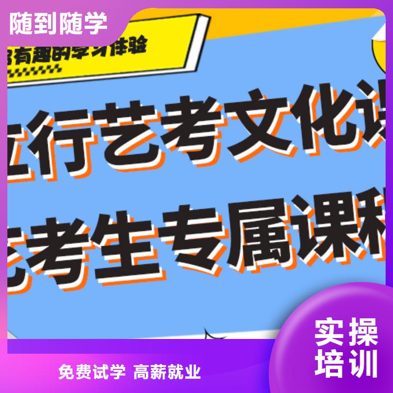 美术生文化课2025年续费价格多少