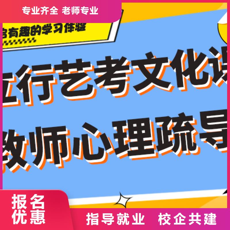 艺考生文化课冲刺艺考文化课冲刺实操教学