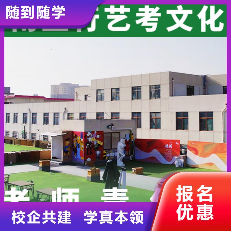 艺考文化课集训班艺考文化课培训手把手教学