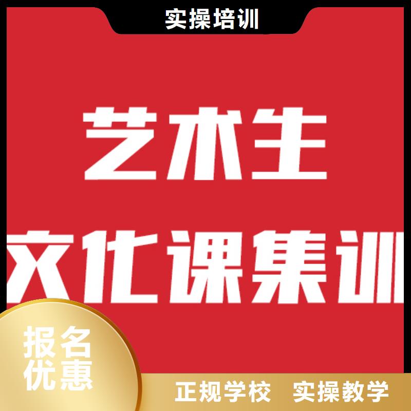 有几所艺考生文化课辅导集训立行学校名师授课