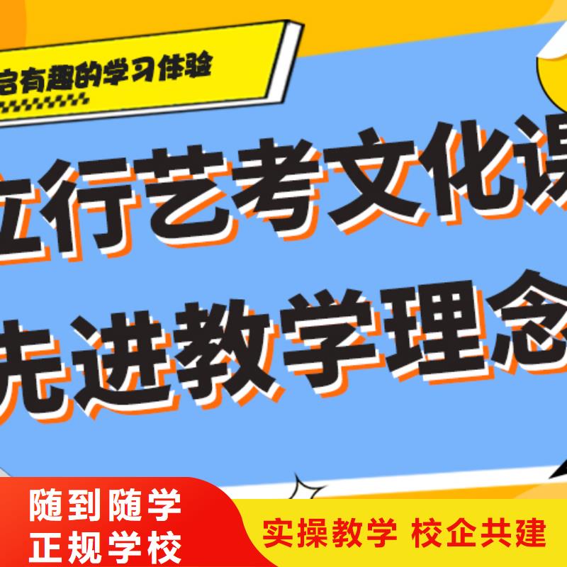 艺考生文化课集训班高考书法培训老师专业