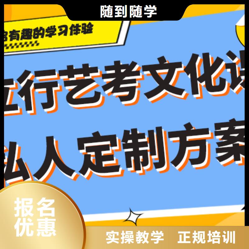 艺考生文化课集训班高考书法培训老师专业