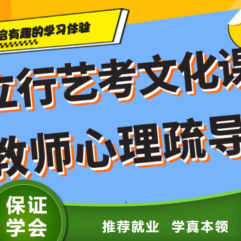 艺术生文化课培训补习哪家好个性化辅导教学