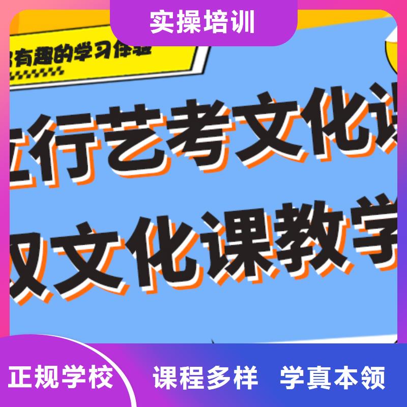 艺考文化课辅导班艺考一对一教学技能+学历