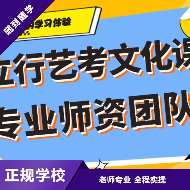 收费艺术生文化课辅导集训精准的复习计划