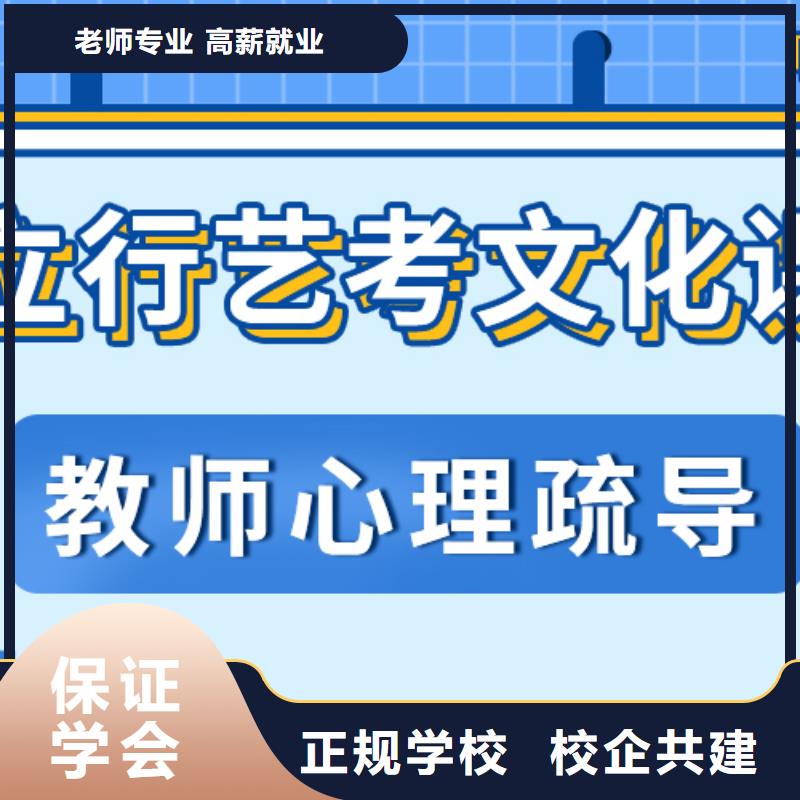 艺考文化课集训_高三复读辅导理论+实操