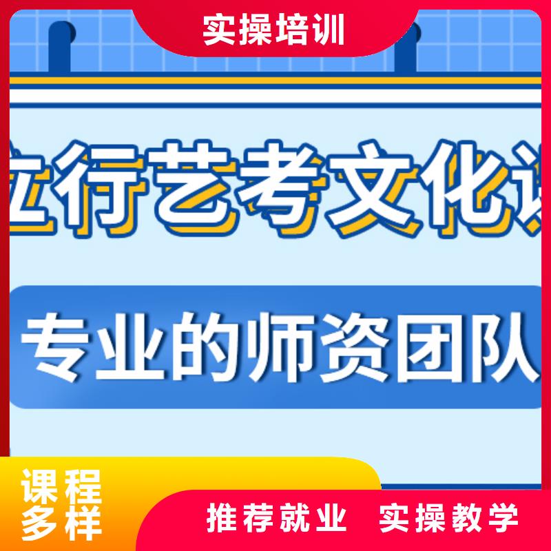 【艺考文化课集训艺术生文化补习师资力量强】