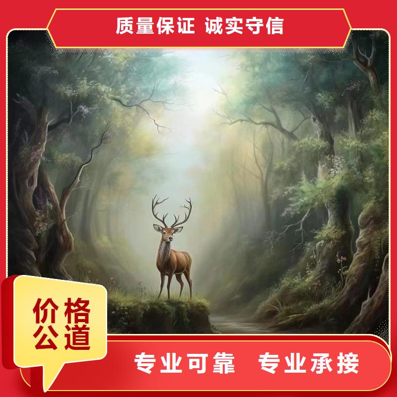 壁画彩绘手绘墙绘公司