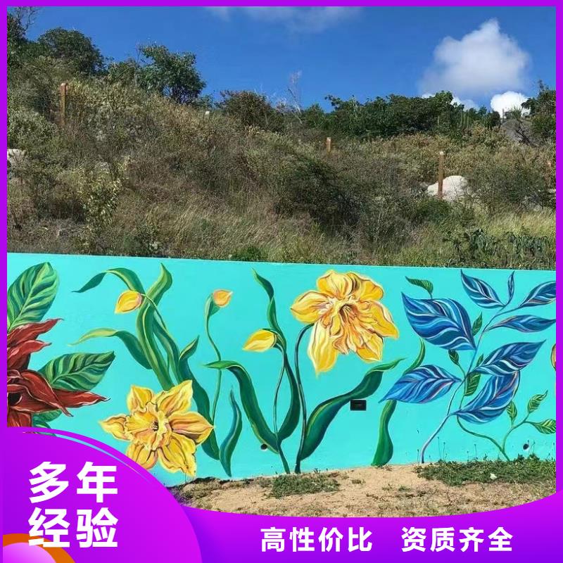 阿坝墙绘手绘墙壁画涂鸦公司